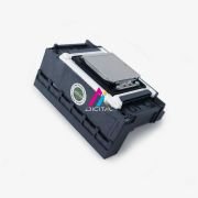 Epson XP600 with Logo Printhead
